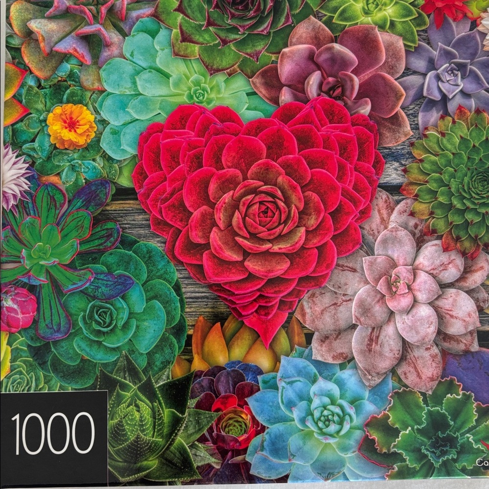 Vibrant Succulent Heart Puzzle and Vibrant Rocks/Minerals Puzzle - Set of 2